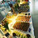 Hannover Catering Partyservice